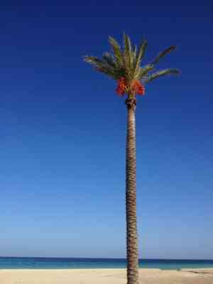 San vito lo capo